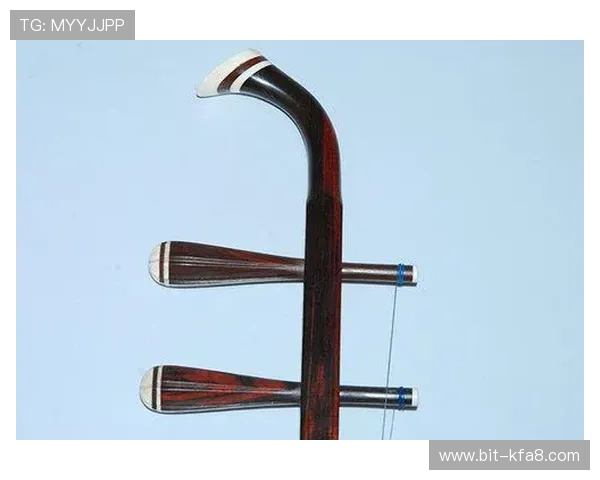 凯发娱乐官网登录常见问题及解决方案全面解析新手必看